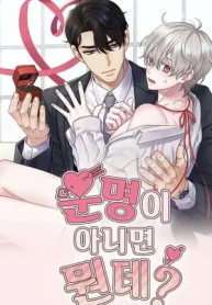 Si esto no es el destino,