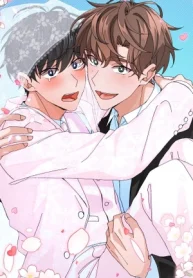 Solicitud Especial Para Recién Casados